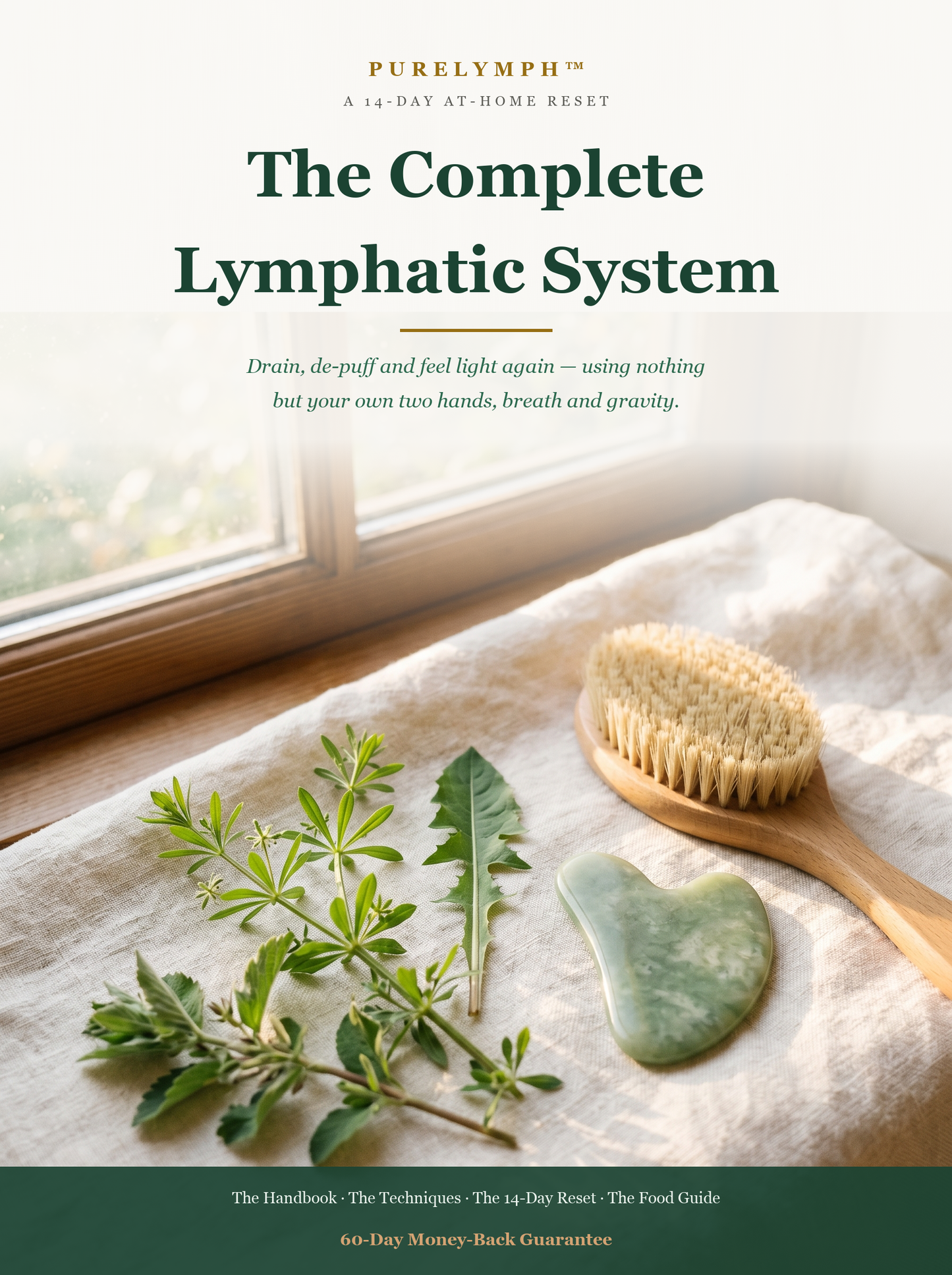 The 14-Day Lymphatic Reset Guide